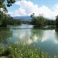 大沼国定公園の写真_196127