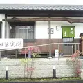 菜実樹の写真_196178