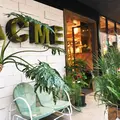 ACME FURNITURE 自由が丘店の写真_196423