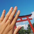鶴岡八幡宮の写真_196877