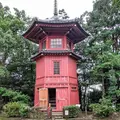 哲学堂公園の写真_198794