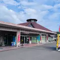 道の駅 桜島 火の島めぐみ館の写真_1988607