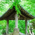 哲学堂公園の写真_198966