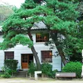 哲学堂公園の写真_198971
