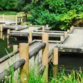 哲学堂公園の写真_198978