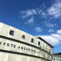 京都水族館の写真_199271
