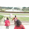 国営ひたち海浜公園の写真_199426