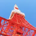 東京タワーの写真_199982