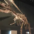 神奈川県立生命の星・地球博物館の写真_200104
