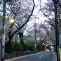 桜坂の写真_200106