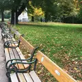市立公園の写真_200256