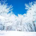 御在所岳樹氷の写真_200298