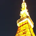 東京タワーの写真_201003
