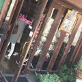 ビルボードの写真_201074