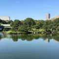 清澄庭園の写真_201258