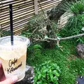  カフェ キツネ（CAFE KITSUNE）の写真_201278