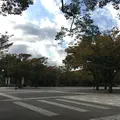 代々木公園の写真_201463