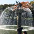 国営昭和記念公園の写真_201627