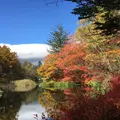 雲場池の写真_201675