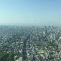 あべのハルカスの写真_201855