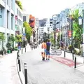 キャットストリートの写真_202069