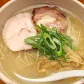 臥龍の写真_202165