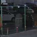 西横堀の写真_202167