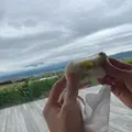 カンパーナ六花亭の写真_2024075