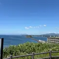 絵鞆岬の写真_2024491