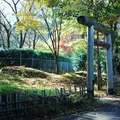 新田塚の写真_202534