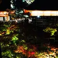 清水寺の写真_202556