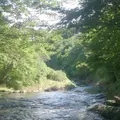 ゆうすい自然の森(旧 遊水峡キャンプ場)の写真_202637