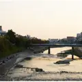 鴨川の写真_202671