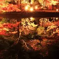 曽木公園の写真_202674
