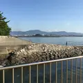 北浜 上海食苑の写真_202833