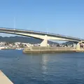 ブルーブリッジの写真_202836