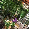 青山フラワーマーケット ティーハウスの写真_202880
