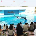 南知多ビーチランドの写真_203161