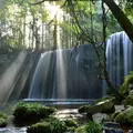 鍋ヶ滝の写真_203169