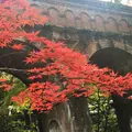 水路閣の写真_203199