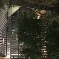 分とく山 （わけとくやま）の写真_203459