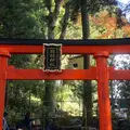 箱根神社の写真_203665