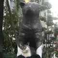 忠犬ハチ公像の写真_203681