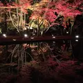 曽木公園の写真_203753