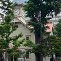 札幌時計台ビルの写真_2037807
