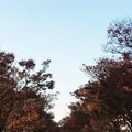 代々木公園の写真_204112