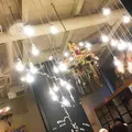 カフェ ゼノン (CAFE ZENON)の写真_204113