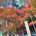 毘沙門堂の写真_204430