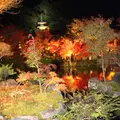 永観堂（禅林寺）の写真_204432