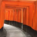 千本鳥居の写真_204517